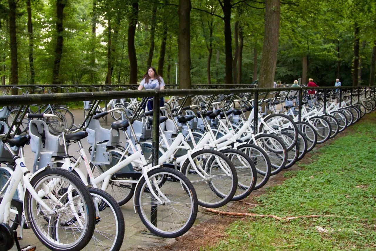 🚲 호게 벨루베 국립공원 무료 자전거 체험
